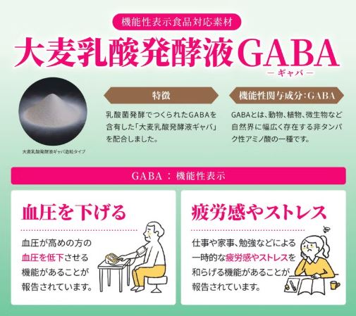 GABA説明画像