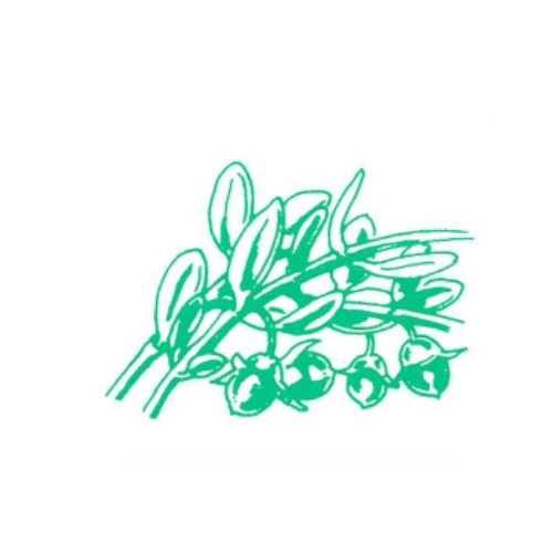 ホホバ油