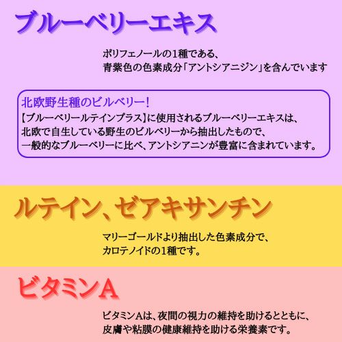 ブルーベリーご連絡用 ブルーベリールテインプラス | 布亀オンラインショップ