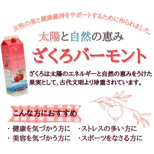 ざくろイメージ写真